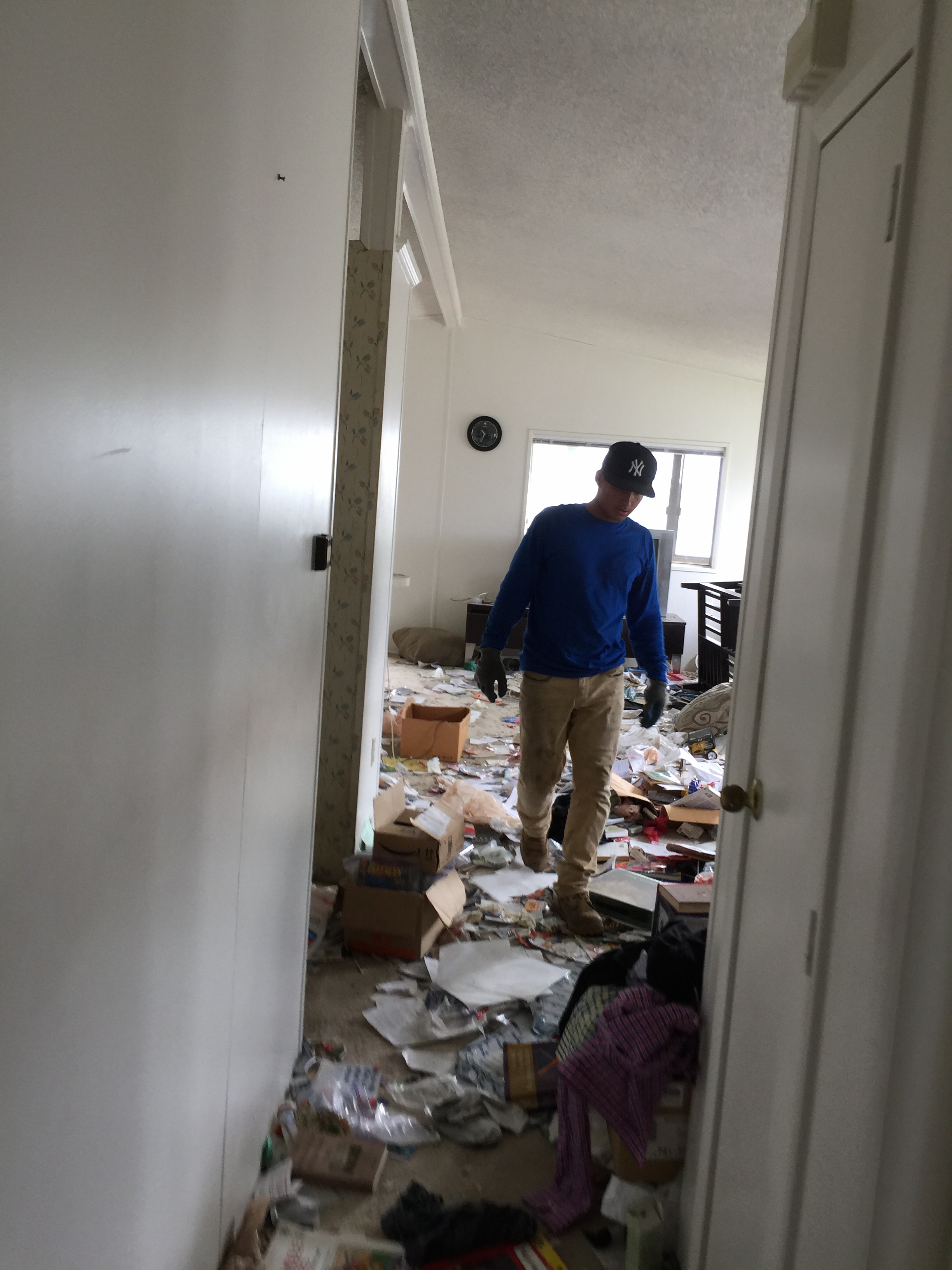 hoarder cleaning woodland hills