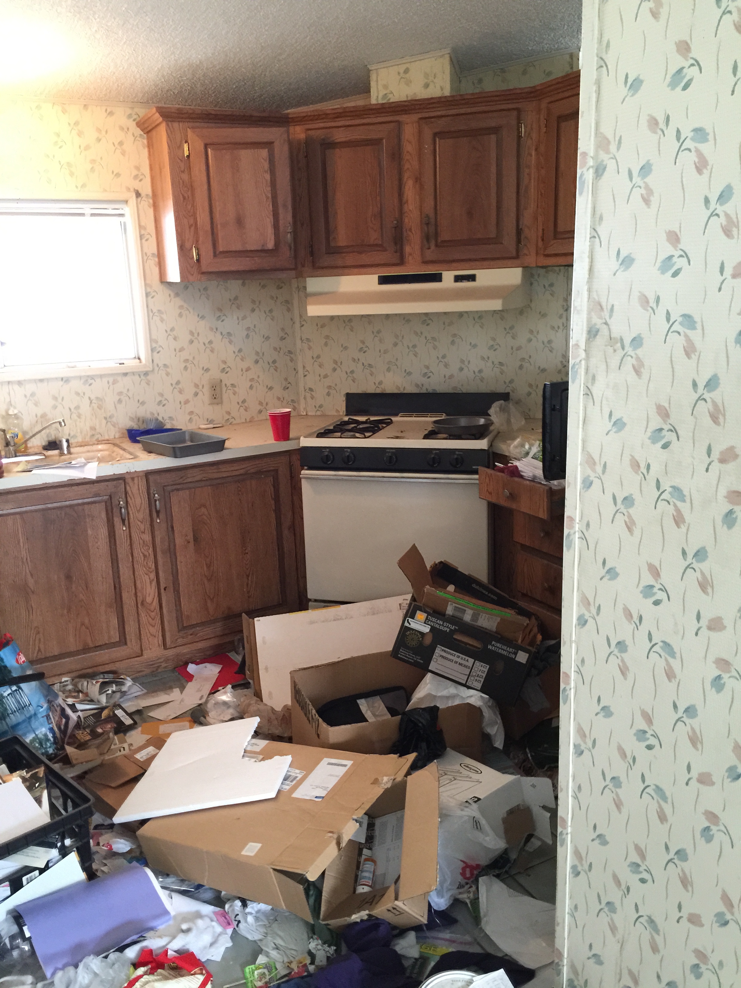 hoarder cleaning woodland hills
